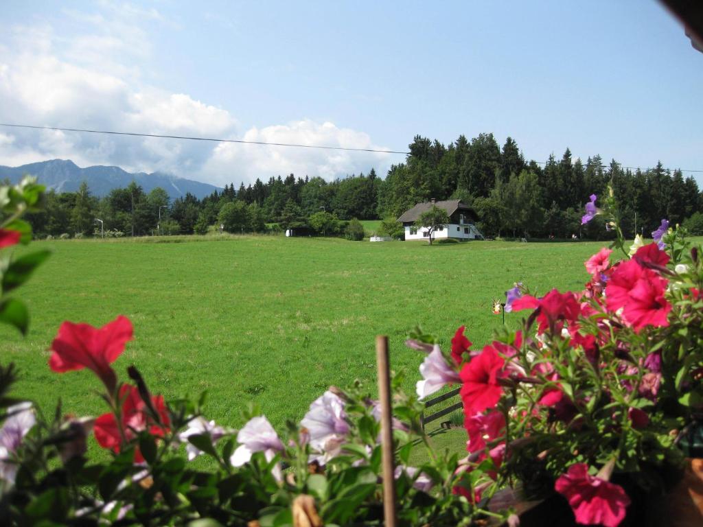 Gaestehaus Stroitz โดรโบลัค อัม ฟาเคอร์เซ ภายนอก รูปภาพ