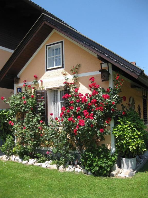 Gaestehaus Stroitz โดรโบลัค อัม ฟาเคอร์เซ ภายนอก รูปภาพ